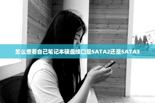 怎么查看自己笔记本硬盘接口是SATA2还是SATA3