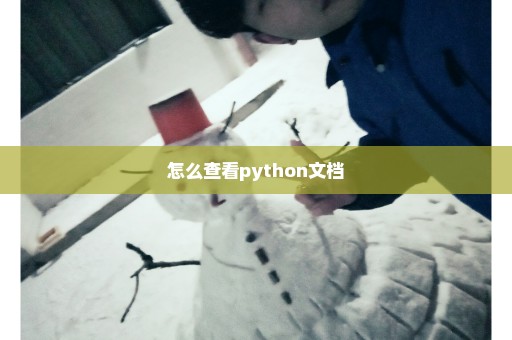 怎么查看python文档
