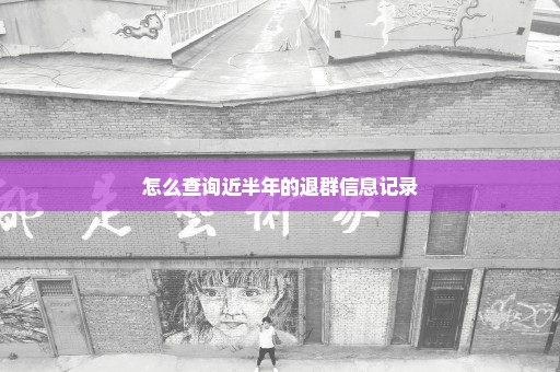 怎么查询近半年的退群信息记录