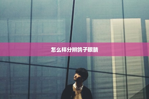 怎么样分辨鸽子眼睛