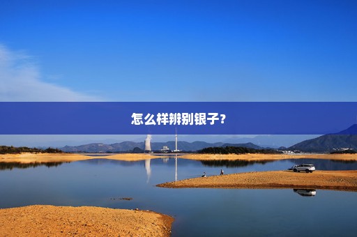 怎么样辨别银子？