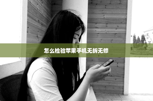 怎么检验苹果手机无拆无修