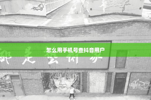 怎么用手机号查抖音用户