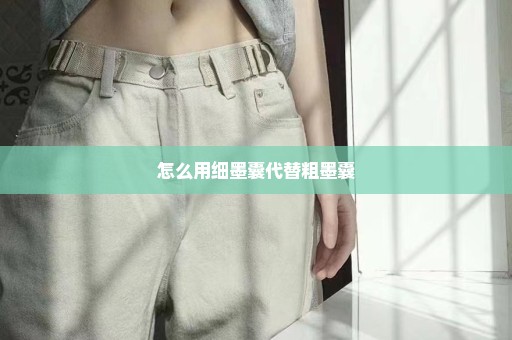怎么用细墨囊代替粗墨囊