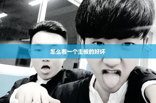 怎么看一个主板的好坏