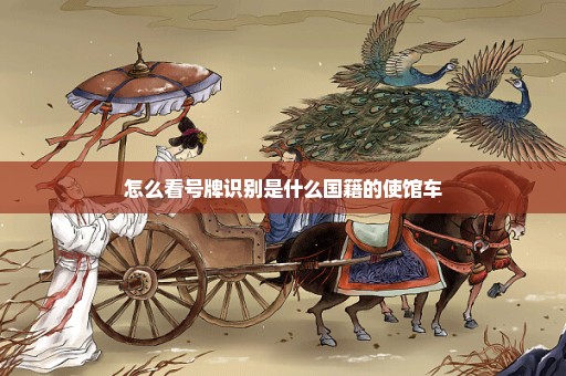 怎么看号牌识别是什么国籍的使馆车