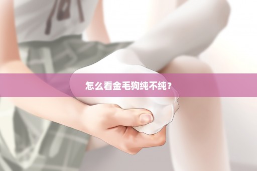 怎么看金毛狗纯不纯？