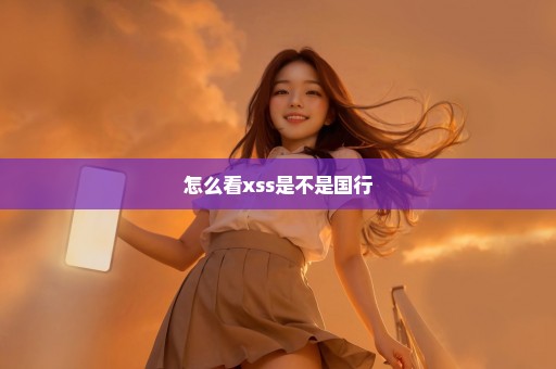怎么看xss是不是国行