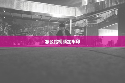 怎么给视频加水印