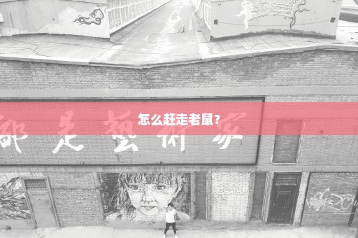 怎么赶走老鼠？