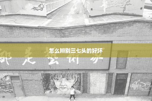 怎么辨别三七头的好坏