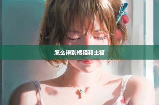 怎么辨别橘猫和土猫