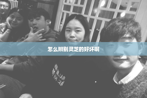 怎么辨别灵芝的好坏啊