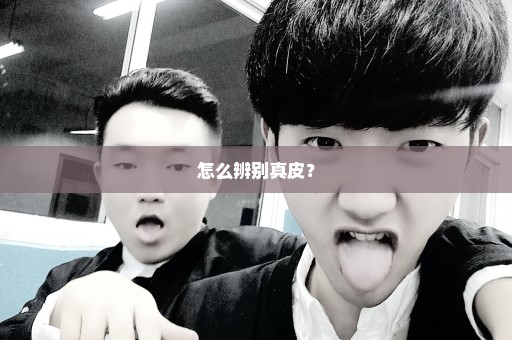 怎么辨别真皮？