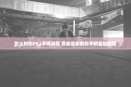 怎么辨别PS2手柄真假 原装组装翻新手柄鉴别教程