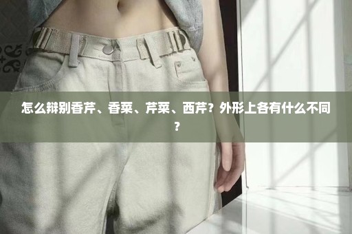 怎么辩别香芹、香菜、芹菜、西芹？外形上各有什么不同？