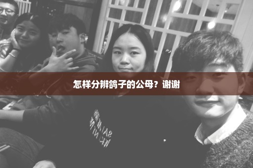 怎样分辨鸽子的公母？谢谢