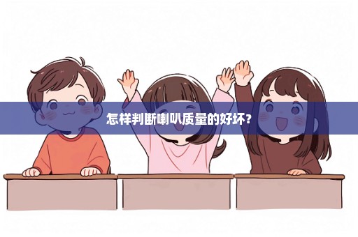 怎样判断喇叭质量的好坏？