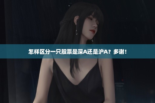 怎样区分一只股票是深A还是沪A？多谢！