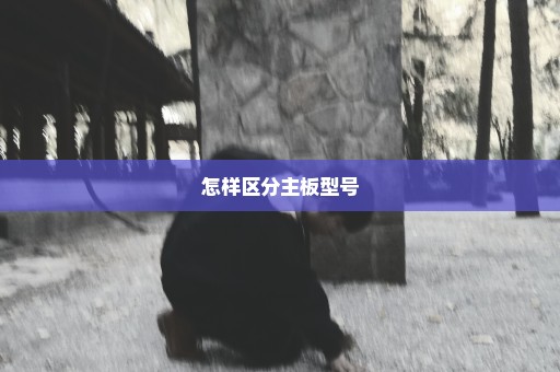 怎样区分主板型号