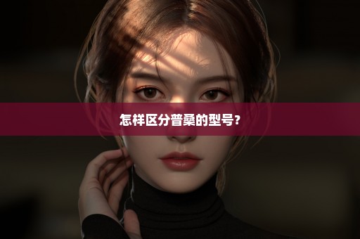 怎样区分普桑的型号？