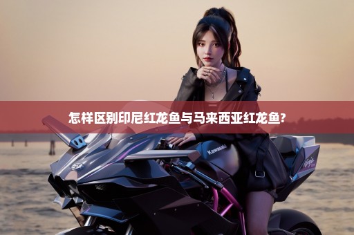 怎样区别印尼红龙鱼与马来西亚红龙鱼?