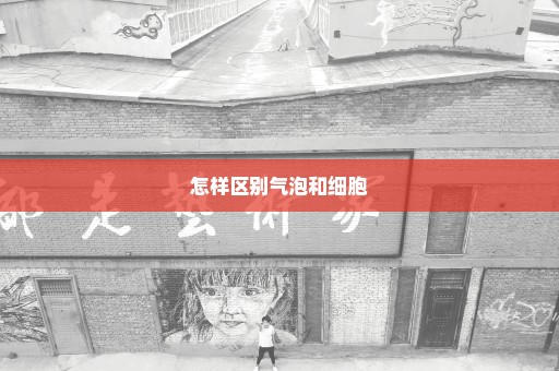 怎样区别气泡和细胞