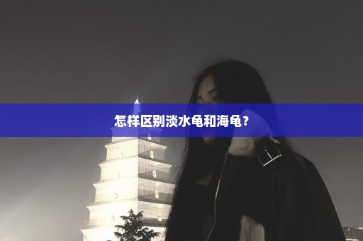 怎样区别淡水龟和海龟？