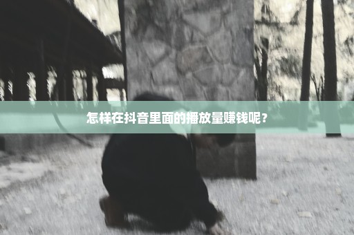怎样在抖音里面的播放量赚钱呢？