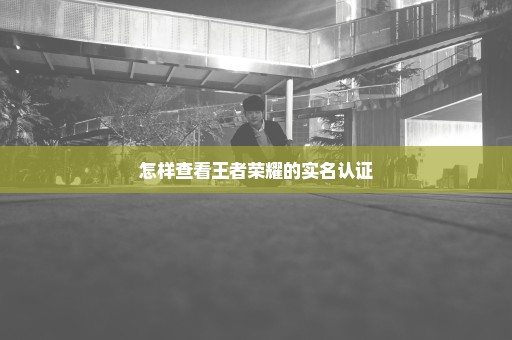 怎样查看王者荣耀的实名认证