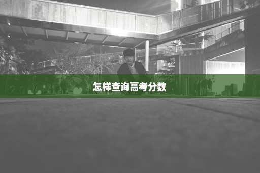 怎样查询高考分数