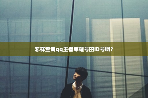 怎样查询qq王者荣耀号的ID号啊？