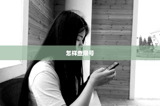 怎样查限号