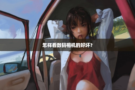怎样看数码相机的好坏？