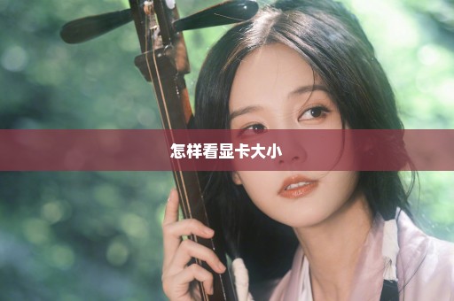 怎样看显卡大小