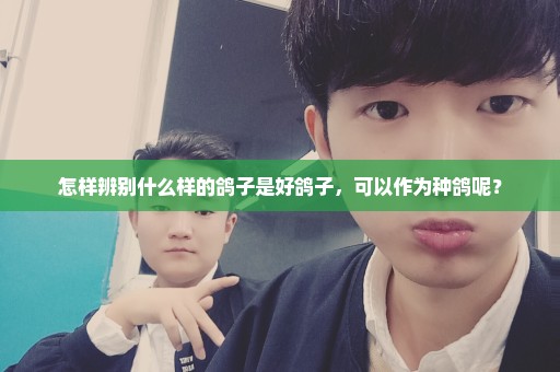怎样辨别什么样的鸽子是好鸽子，可以作为种鸽呢？