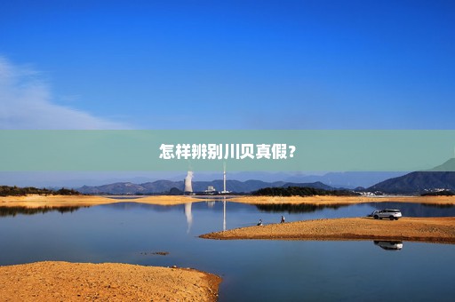怎样辨别川贝真假？