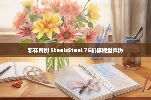 怎样辨别 SteelsSteel 7G机械键盘真伪