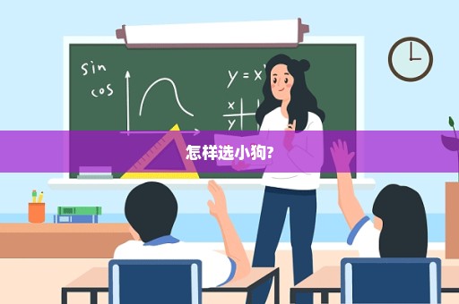 怎样选小狗?