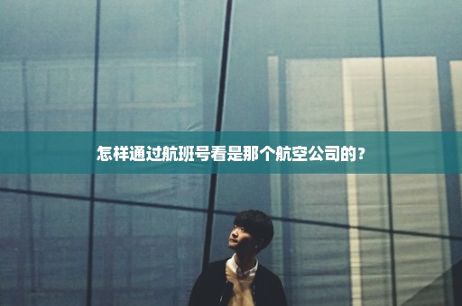 怎样通过航班号看是那个航空公司的？