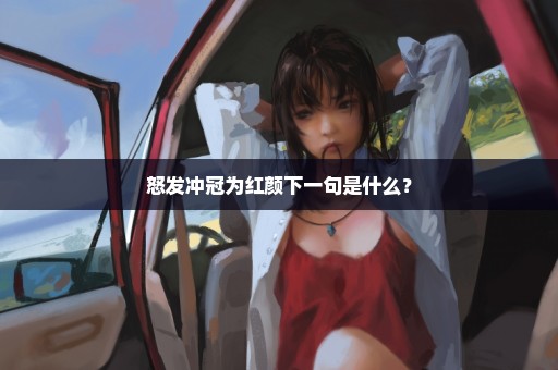 怒发冲冠为红颜下一句是什么？