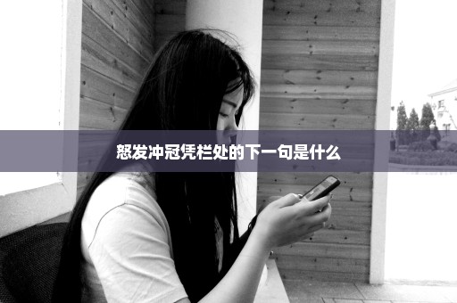 怒发冲冠凭栏处的下一句是什么