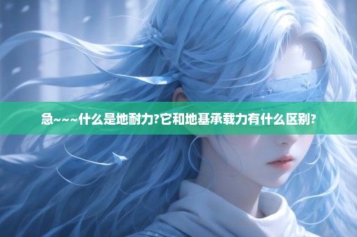 急~~~什么是地耐力?它和地基承载力有什么区别?
