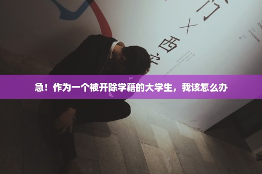 急！作为一个被开除学籍的大学生，我该怎么办