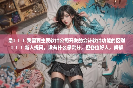 急！！！我需要主要软件公司开发的会计软件功能的区别！！！新人提问，没有什么悬赏分，但各位好人，帮帮