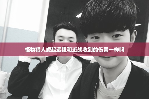 怪物猎人崛起远程和近战收到的伤害一样吗