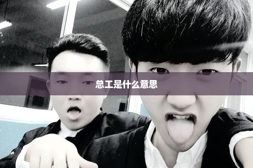 总工是什么意思