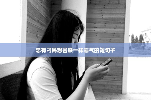 总有刁民想害朕一样霸气的短句子