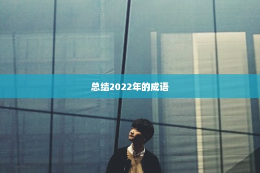 总结2022年的成语