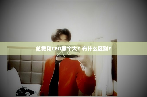 总裁和CEO那个大？有什么区别？